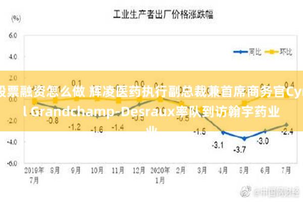 股票融资怎么做 辉凌医药执行副总裁兼首席商务官Cyril Grandchamp-Desraux率队到访翰宇药业