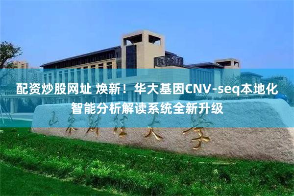 配资炒股网址 焕新！华大基因CNV-seq本地化智能分析解读系统全新升级