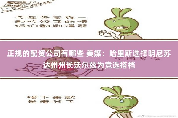 正规的配资公司有哪些 美媒：哈里斯选择明尼苏达州州长沃尔兹为竞选搭档