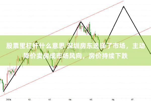 股票里杠杆什么意思 深圳房东选择了市场，主动降价卖房成市场风向，房价持续下跌