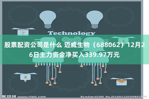 股票配资公司是什么 迈威生物（688062）12月26日主力资金净买入339.97万元