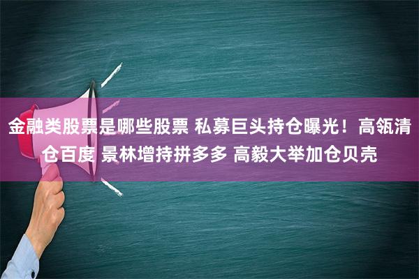 金融类股票是哪些股票 私募巨头持仓曝光！高瓴清仓百度 景林增持拼多多 高毅大举加仓贝壳